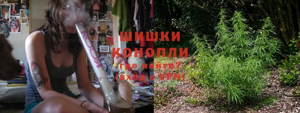 ГАЛЛЮЦИНОГЕННЫЕ ГРИБЫ Елизово