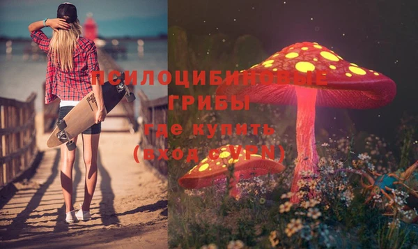 мяу мяу мука Ельня