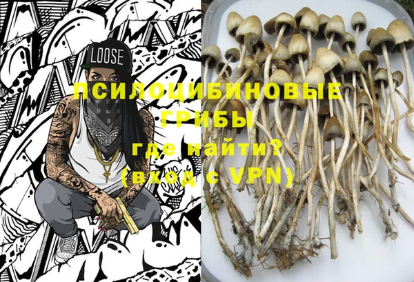 ГАЛЛЮЦИНОГЕННЫЕ ГРИБЫ Елизово