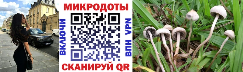 Купить закладки  Новоалтайск  Псилоцибиновые грибы мухоморы 